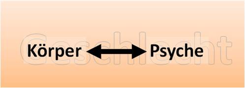 Bild "Leseecke/Theorie:wig3.jpg"